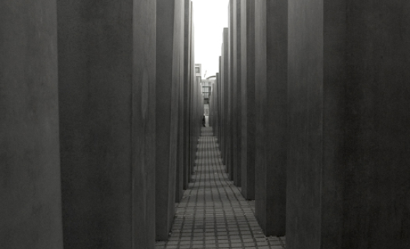 IMGP3336-a.jpg