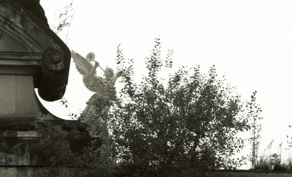 dd.158.19.engel.jpg